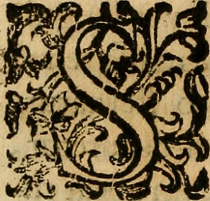 An illustration from Io. Bap. Portae Neopolitani de distillatione lib. IX : quibus certa methodo, multipliciq[ue] artificio, penitioribus naturae arcanis detectis, cuius libet mixti in propria elementa resolutio, perfectè docetur, 1608, leaf 145