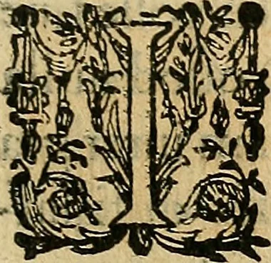 An illustration from Io. Bap. Portae Neopolitani de distillatione lib. IX : quibus certa methodo, multipliciq[ue] artificio, penitioribus naturae arcanis detectis, cuius libet mixti in propria elementa resolutio, perfectè docetur, 1608, leaf 148