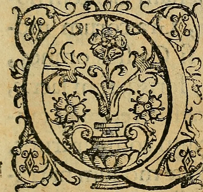 An illustration from Io. Bap. Portae Neopolitani de distillatione lib. IX : quibus certa methodo, multipliciq[ue] artificio, penitioribus naturae arcanis detectis, cuius libet mixti in propria elementa resolutio, perfectè docetur, 1608, leaf 16