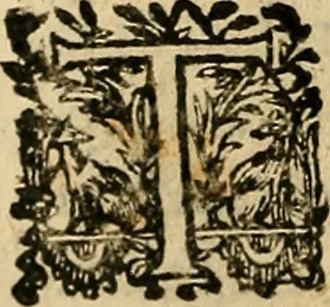 An illustration from Io. Bap. Portae Neopolitani de distillatione lib. IX : quibus certa methodo, multipliciq[ue] artificio, penitioribus naturae arcanis detectis, cuius libet mixti in propria elementa resolutio, perfectè docetur, 1608, leaf 161