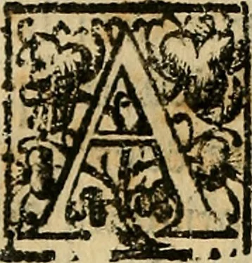 An illustration from Io. Bap. Portae Neopolitani de distillatione lib. IX : quibus certa methodo, multipliciq[ue] artificio, penitioribus naturae arcanis detectis, cuius libet mixti in propria elementa resolutio, perfectè docetur, 1608, leaf 163
