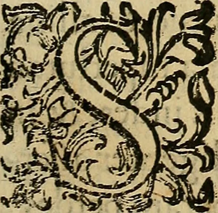 An illustration from Io. Bap. Portae Neopolitani de distillatione lib. IX : quibus certa methodo, multipliciq[ue] artificio, penitioribus naturae arcanis detectis, cuius libet mixti in propria elementa resolutio, perfectè docetur, 1608, leaf 166