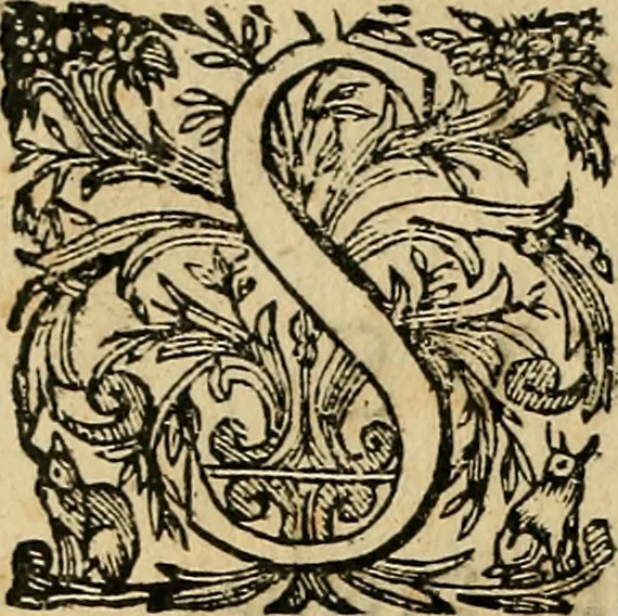 An illustration from Io. Bap. Portae Neopolitani de distillatione lib. IX : quibus certa methodo, multipliciq[ue] artificio, penitioribus naturae arcanis detectis, cuius libet mixti in propria elementa resolutio, perfectè docetur, 1608, leaf 171