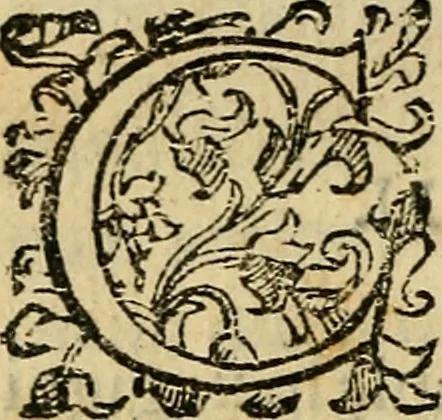 An illustration from Io. Bap. Portae Neopolitani de distillatione lib. IX : quibus certa methodo, multipliciq[ue] artificio, penitioribus naturae arcanis detectis, cuius libet mixti in propria elementa resolutio, perfectè docetur, 1608, leaf 173