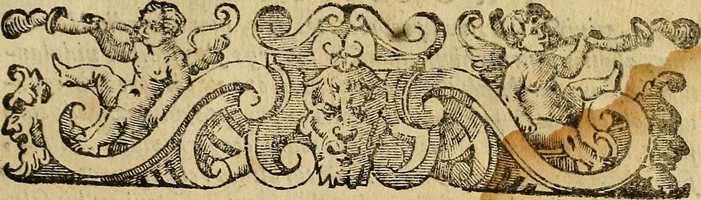 An illustration from Io. Bap. Portae Neopolitani de distillatione lib. IX : quibus certa methodo, multipliciq[ue] artificio, penitioribus naturae arcanis detectis, cuius libet mixti in propria elementa resolutio, perfectè docetur, 1608, leaf 22