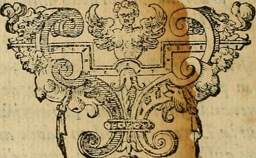 An illustration from Io. Bap. Portae Neopolitani de distillatione lib. IX : quibus certa methodo, multipliciq[ue] artificio, penitioribus naturae arcanis detectis, cuius libet mixti in propria elementa resolutio, perfectè docetur, 1608, leaf 25