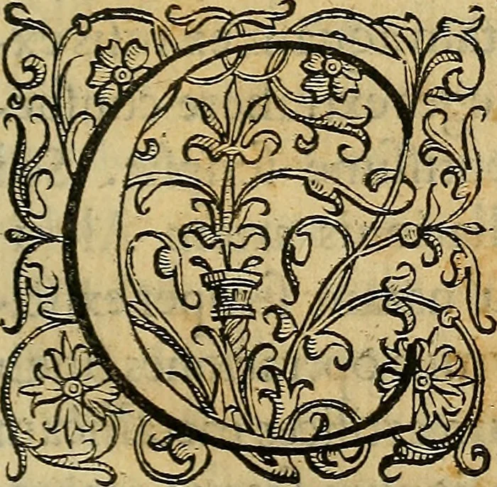 An illustration from Io. Bap. Portae Neopolitani de distillatione lib. IX : quibus certa methodo, multipliciq[ue] artificio, penitioribus naturae arcanis detectis, cuius libet mixti in propria elementa resolutio, perfectè docetur, 1608, leaf 26