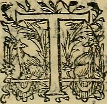 An illustration from Io. Bap. Portae Neopolitani de distillatione lib. IX : quibus certa methodo, multipliciq[ue] artificio, penitioribus naturae arcanis detectis, cuius libet mixti in propria elementa resolutio, perfectè docetur, 1608, leaf 30