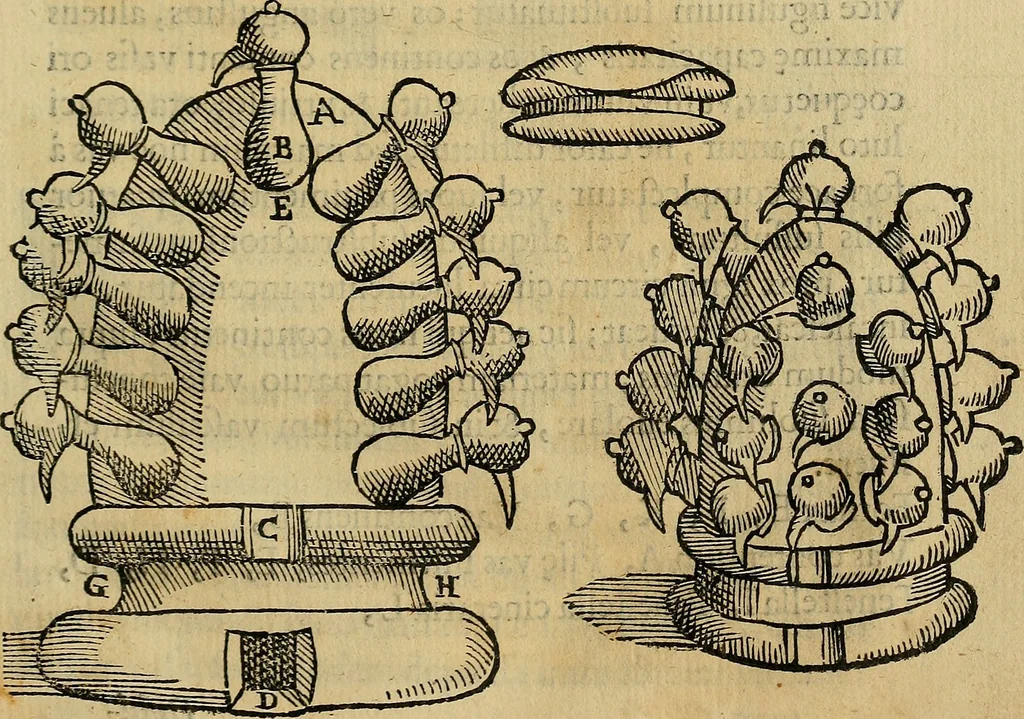 An illustration from Io. Bap. Portae Neopolitani de distillatione lib. IX : quibus certa methodo, multipliciq[ue] artificio, penitioribus naturae arcanis detectis, cuius libet mixti in propria elementa resolutio, perfectè docetur, 1608, leaf 36