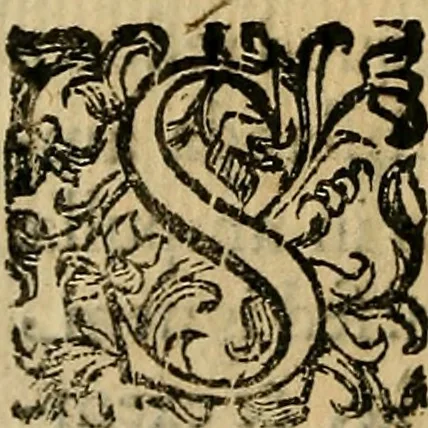 An illustration from Io. Bap. Portae Neopolitani de distillatione lib. IX : quibus certa methodo, multipliciq[ue] artificio, penitioribus naturae arcanis detectis, cuius libet mixti in propria elementa resolutio, perfectè docetur, 1608, leaf 55