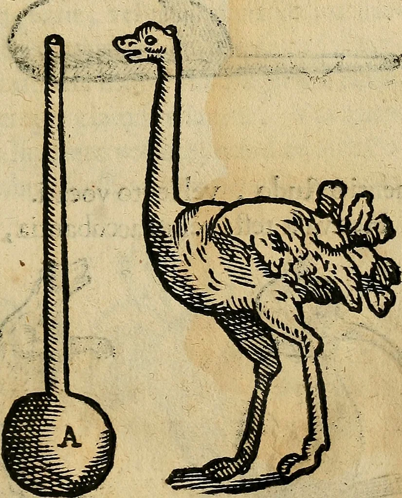 An illustration from Io. Bap. Portae Neopolitani de distillatione lib. IX : quibus certa methodo, multipliciq[ue] artificio, penitioribus naturae arcanis detectis, cuius libet mixti in propria elementa resolutio, perfectè docetur, 1608, leaf 62