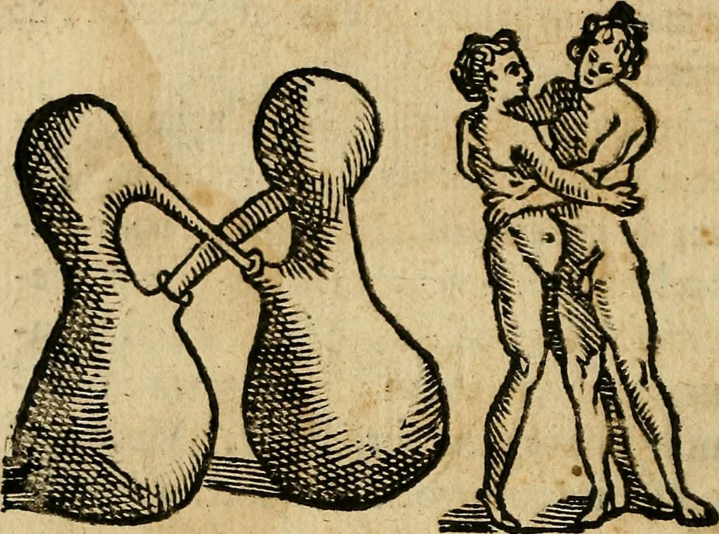 An illustration from Io. Bap. Portae Neopolitani de distillatione lib. IX : quibus certa methodo, multipliciq[ue] artificio, penitioribus naturae arcanis detectis, cuius libet mixti in propria elementa resolutio, perfectè docetur, 1608, leaf 65
