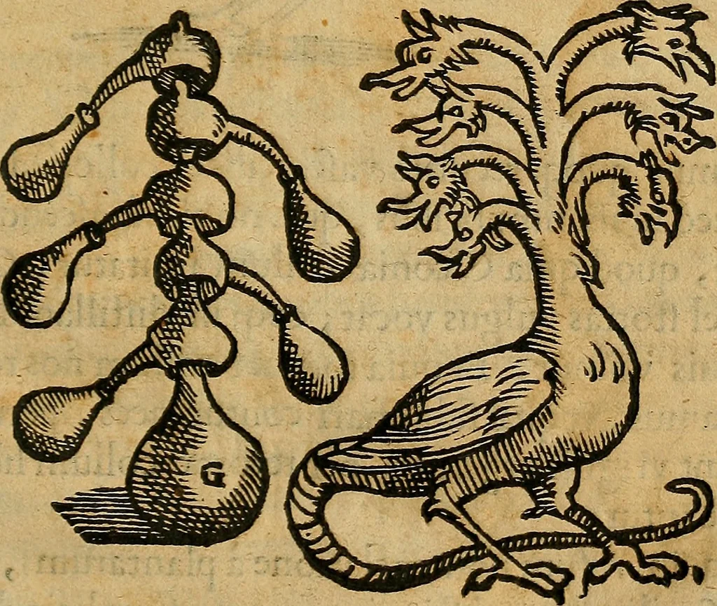 An illustration from Io. Bap. Portae Neopolitani de distillatione lib. IX : quibus certa methodo, multipliciq[ue] artificio, penitioribus naturae arcanis detectis, cuius libet mixti in propria elementa resolutio, perfectè docetur, 1608, leaf 66