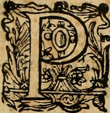 An illustration from Io. Bap. Portae Neopolitani de distillatione lib. IX : quibus certa methodo, multipliciq[ue] artificio, penitioribus naturae arcanis detectis, cuius libet mixti in propria elementa resolutio, perfectè docetur, 1608, leaf 75
