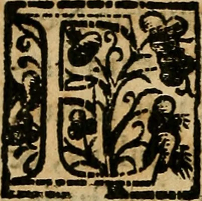 An illustration from Io. Bap. Portae Neopolitani de distillatione lib. IX : quibus certa methodo, multipliciq[ue] artificio, penitioribus naturae arcanis detectis, cuius libet mixti in propria elementa resolutio, perfectè docetur, 1608, leaf 79