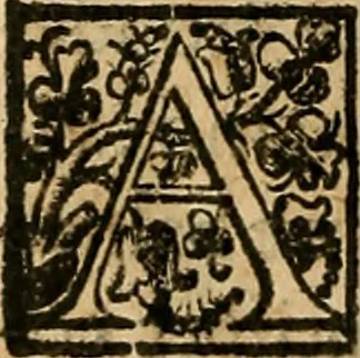 An illustration from Io. Bap. Portae Neopolitani de distillatione lib. IX : quibus certa methodo, multipliciq[ue] artificio, penitioribus naturae arcanis detectis, cuius libet mixti in propria elementa resolutio, perfectè docetur, 1608, leaf 87