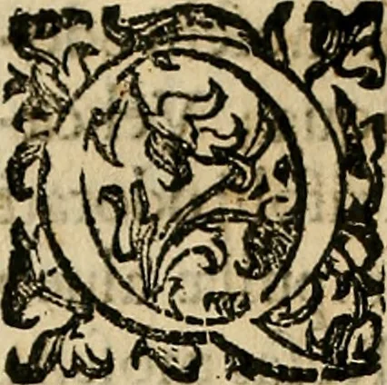 An illustration from Io. Bap. Portae Neopolitani de distillatione lib. IX : quibus certa methodo, multipliciq[ue] artificio, penitioribus naturae arcanis detectis, cuius libet mixti in propria elementa resolutio, perfectè docetur, 1608, leaf 91