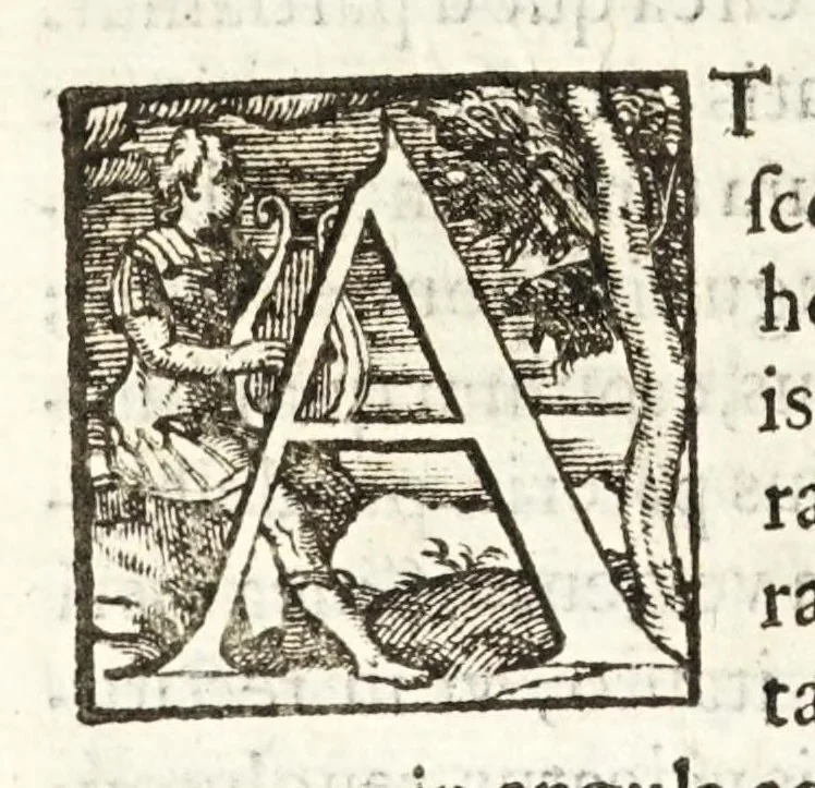 An illustration from Io. Baptistae Benedicti patritij veneti philosophi De gnomonvm vmbrarvmq. solarivm vsv liber : nunc primùm publicae utilitati, studiosorumq̀. commoditati in lucem aeditus, 1574, leaf 238