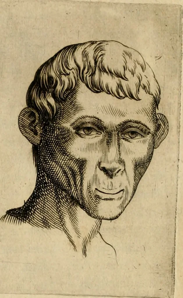 An illustration from Io. Baptistae Portae neapolitani De hvmana physiognomonia libri IIII, 1586, leaf 103