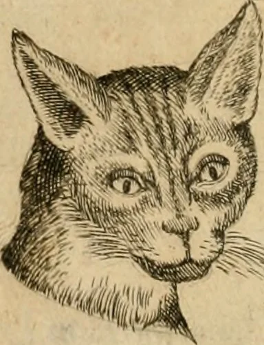 An illustration from Io. Baptistae Portae neapolitani De hvmana physiognomonia libri IIII, 1586, leaf 103
