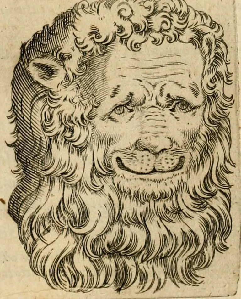 An illustration from Io. Baptistae Portae neapolitani De hvmana physiognomonia libri IIII, 1586, leaf 113