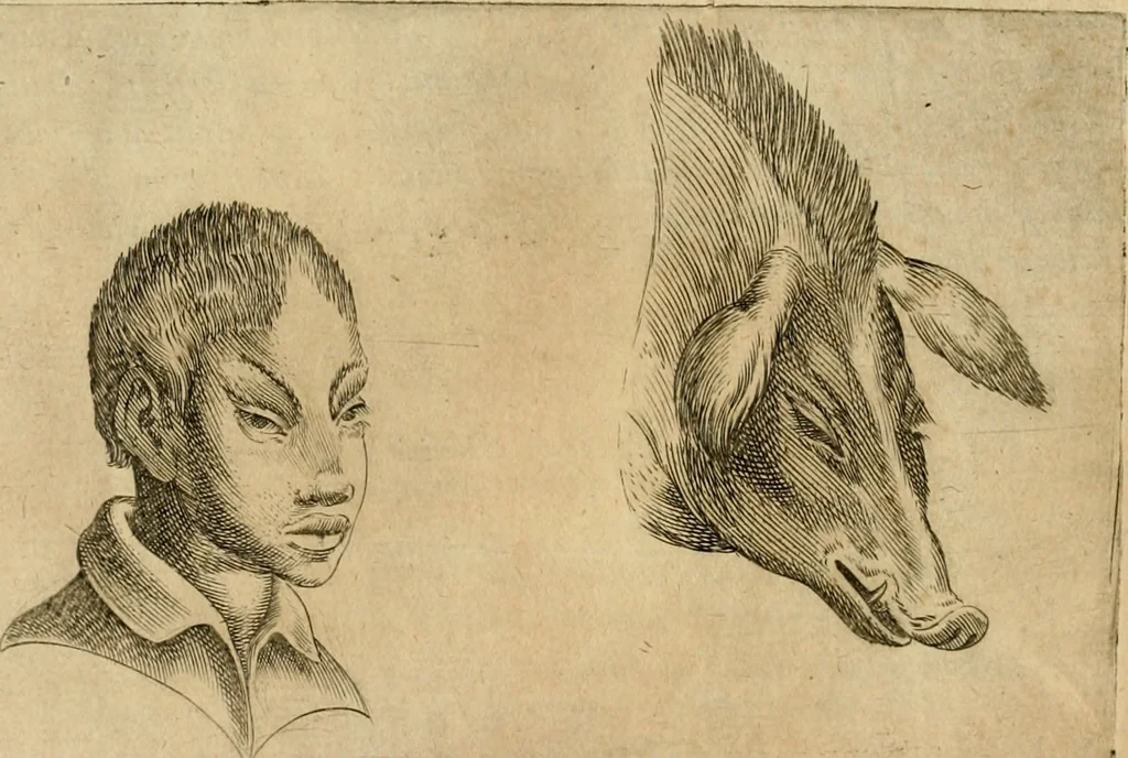 An illustration from Io. Baptistae Portae neapolitani De hvmana physiognomonia libri IIII, 1586, leaf 115