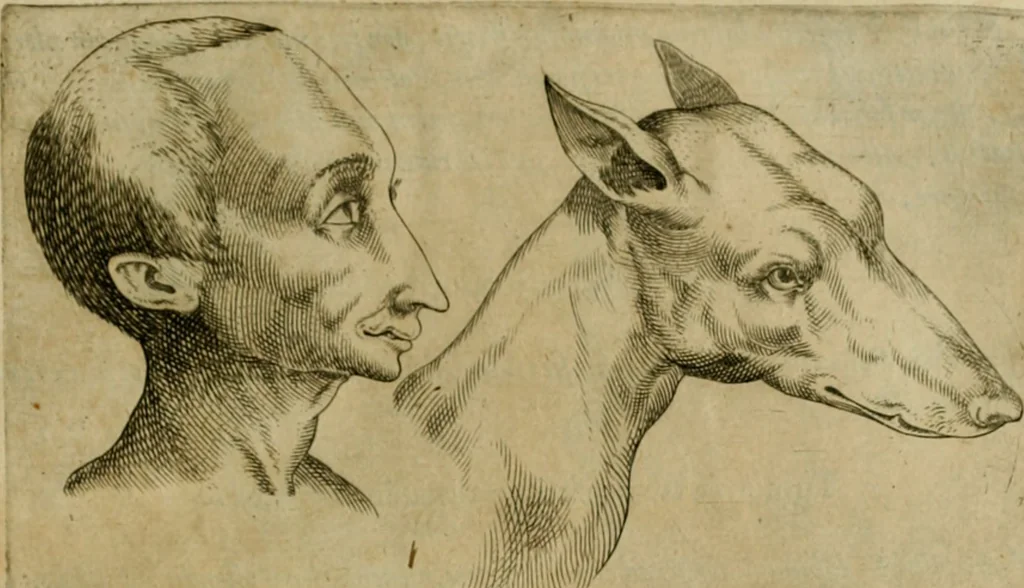 An illustration from Io. Baptistae Portae neapolitani De hvmana physiognomonia libri IIII, 1586, leaf 116