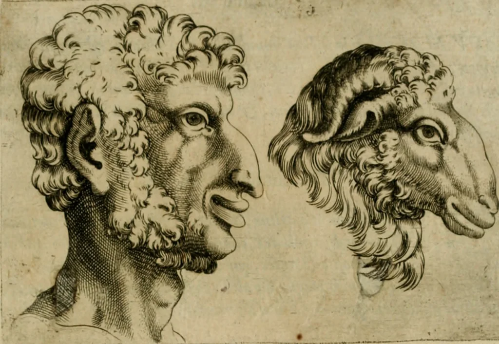 An illustration from Io. Baptistae Portae neapolitani De hvmana physiognomonia libri IIII, 1586, leaf 120