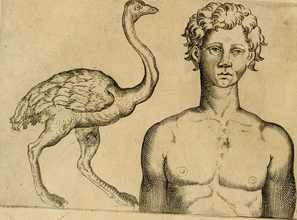An illustration from Io. Baptistae Portae neapolitani De hvmana physiognomonia libri IIII, 1586, leaf 143