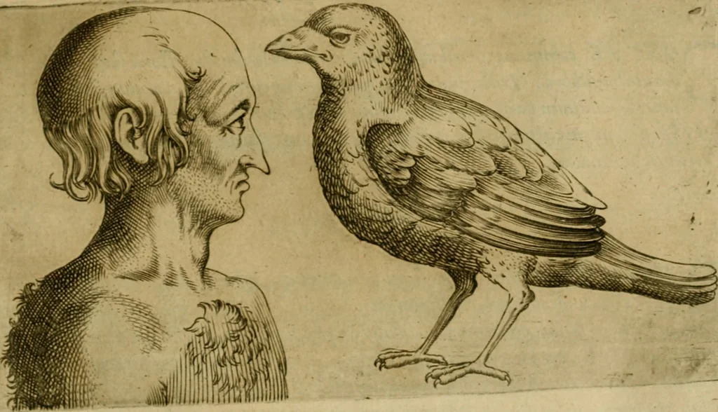 An illustration from Io. Baptistae Portae neapolitani De hvmana physiognomonia libri IIII, 1586, leaf 154