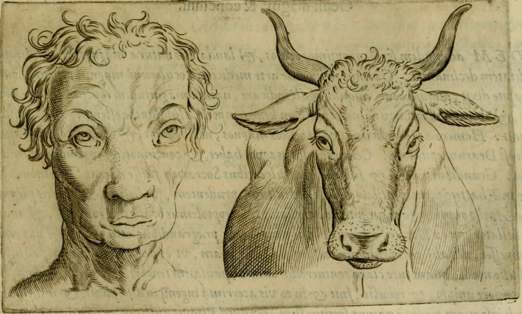 An illustration from Io. Baptistae Portae neapolitani De hvmana physiognomonia libri IIII, 1586, leaf 196