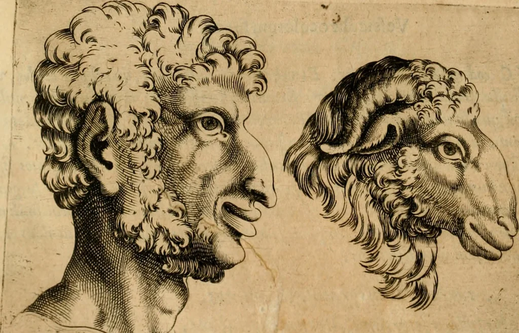 An illustration from Io. Baptistae Portae neapolitani De hvmana physiognomonia libri IIII, 1586, leaf 201