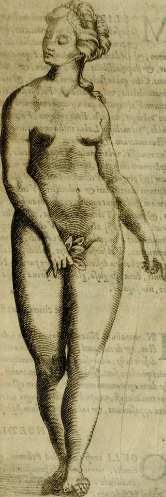 An illustration from Io. Baptistae Portae neapolitani De hvmana physiognomonia libri IIII, 1586, leaf 248
