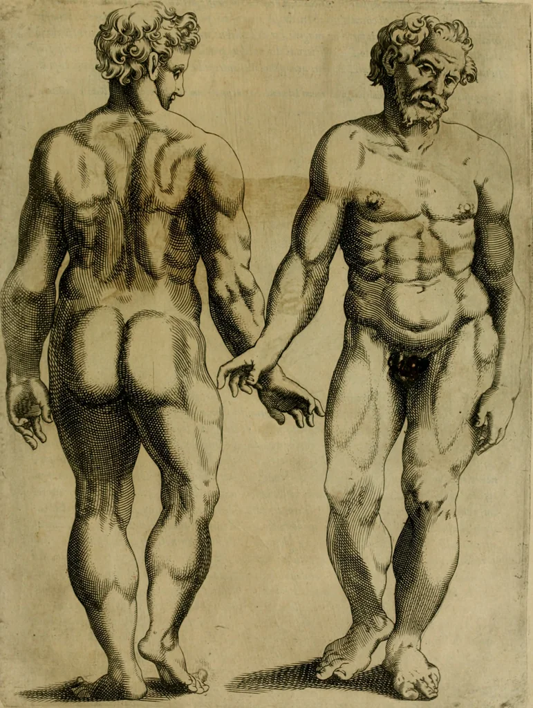 An illustration from Io. Baptistae Portae neapolitani De hvmana physiognomonia libri IIII, 1586, leaf 26