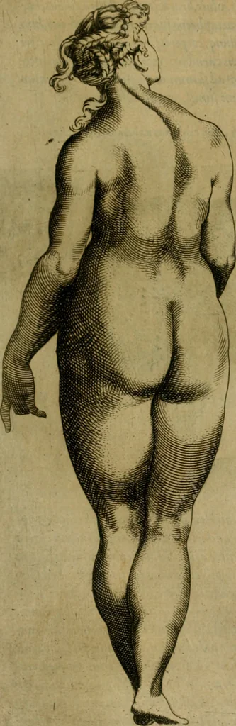 An illustration from Io. Baptistae Portae neapolitani De hvmana physiognomonia libri IIII, 1586, leaf 28