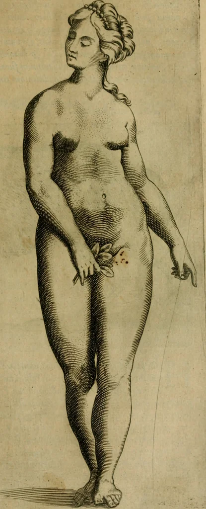 An illustration from Io. Baptistae Portae neapolitani De hvmana physiognomonia libri IIII, 1586, leaf 28