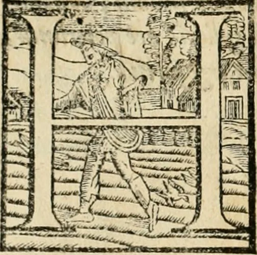 An illustration from Io. Baptistae Portae neapolitani De hvmana physiognomonia libri IIII, 1586, leaf 35