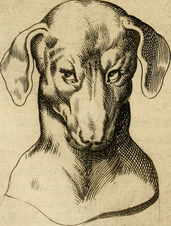 An illustration from Io. Baptistae Portae neapolitani De hvmana physiognomonia libri IIII, 1586, leaf 37