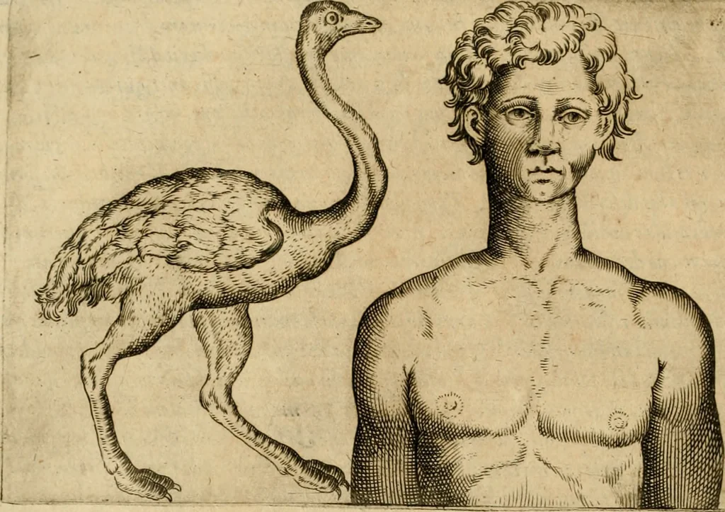 An illustration from Io. Baptistae Portae neapolitani De hvmana physiognomonia libri IIII, 1586, leaf 39