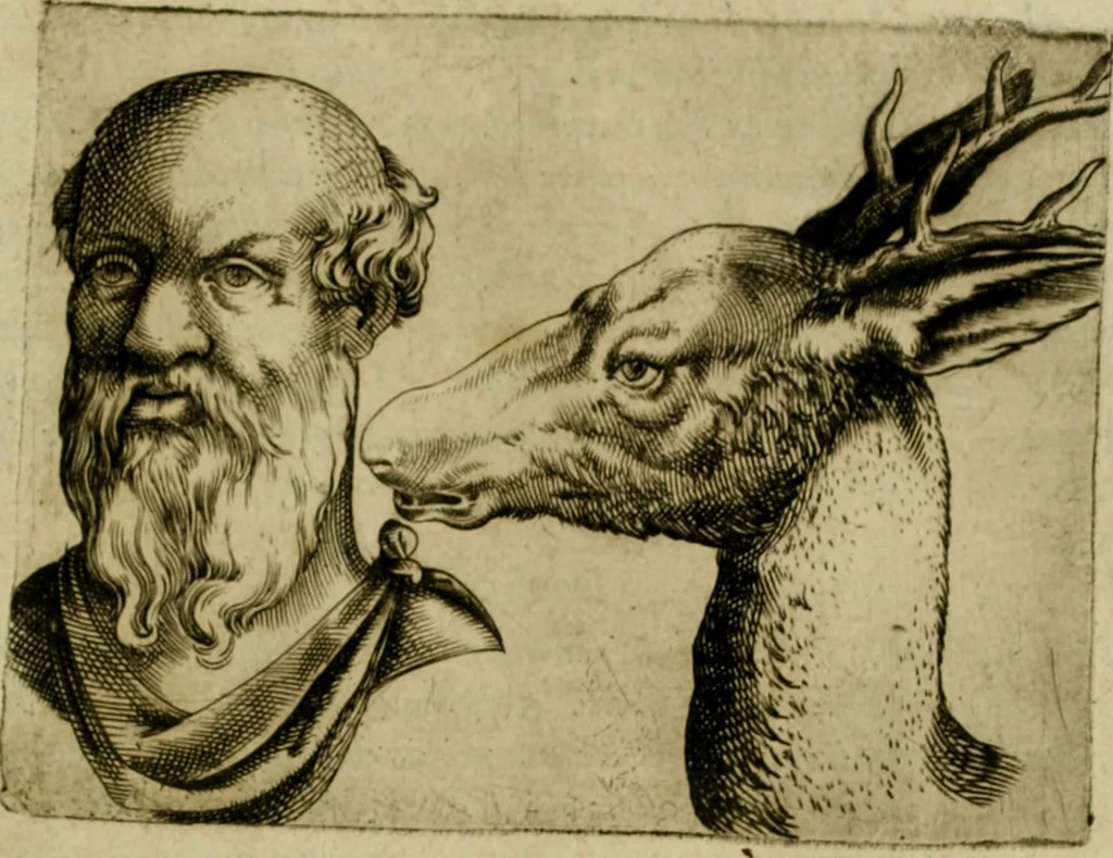 An illustration from Io. Baptistae Portae neapolitani De hvmana physiognomonia libri IIII, 1586, leaf 48