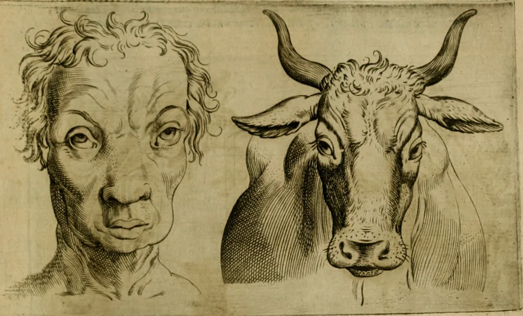 An illustration from Io. Baptistae Portae neapolitani De hvmana physiognomonia libri IIII, 1586, leaf 58