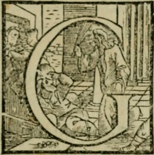 An illustration from Io. Baptistae Portae neapolitani De hvmana physiognomonia libri IIII, 1586, leaf 6