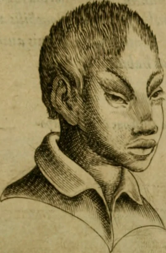 An illustration from Io. Baptistae Portae neapolitani De hvmana physiognomonia libri IIII, 1586, leaf 60