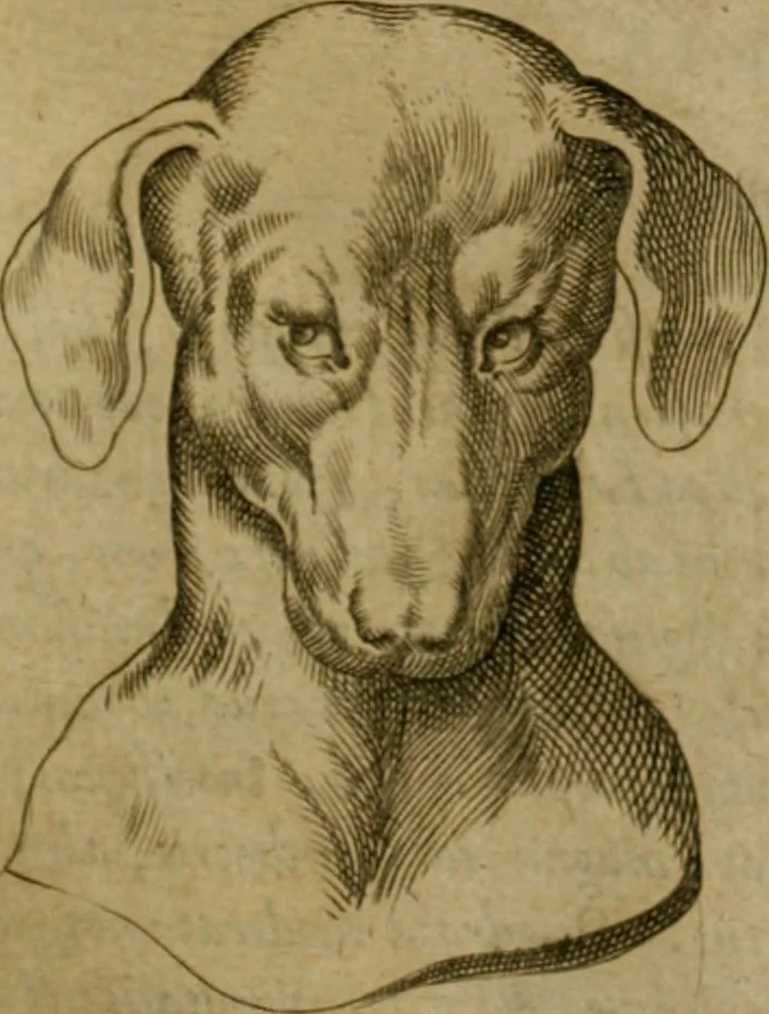 An illustration from Io. Baptistae Portae neapolitani De hvmana physiognomonia libri IIII, 1586, leaf 60