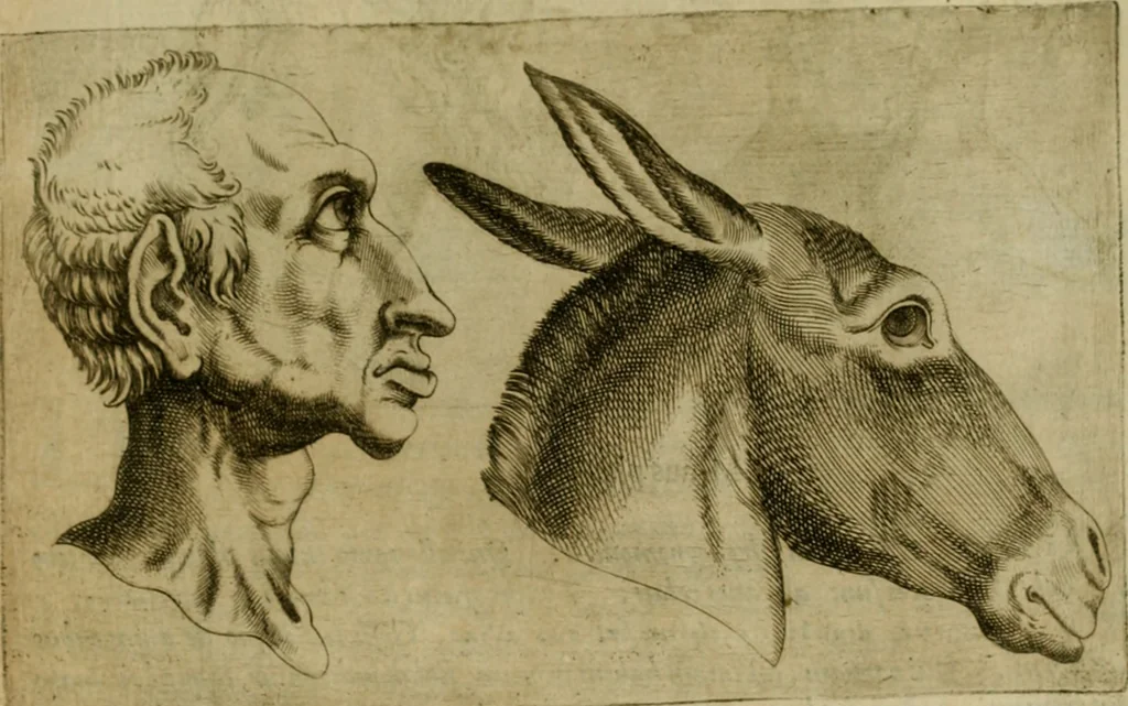 An illustration from Io. Baptistae Portae neapolitani De hvmana physiognomonia libri IIII, 1586, leaf 62