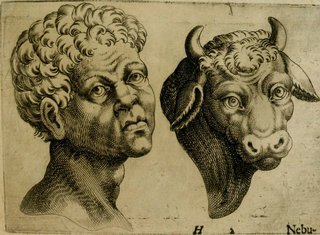 An illustration from Io. Baptistae Portae neapolitani De hvmana physiognomonia libri IIII, 1586, leaf 66