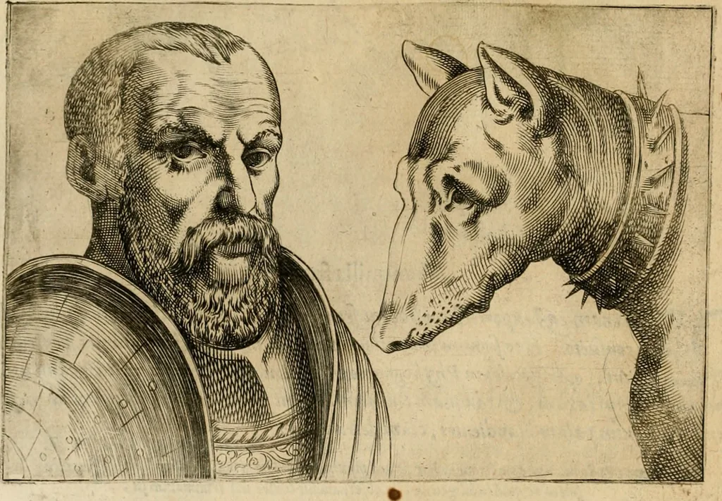 An illustration from Io. Baptistae Portae neapolitani De hvmana physiognomonia libri IIII, 1586, leaf 67