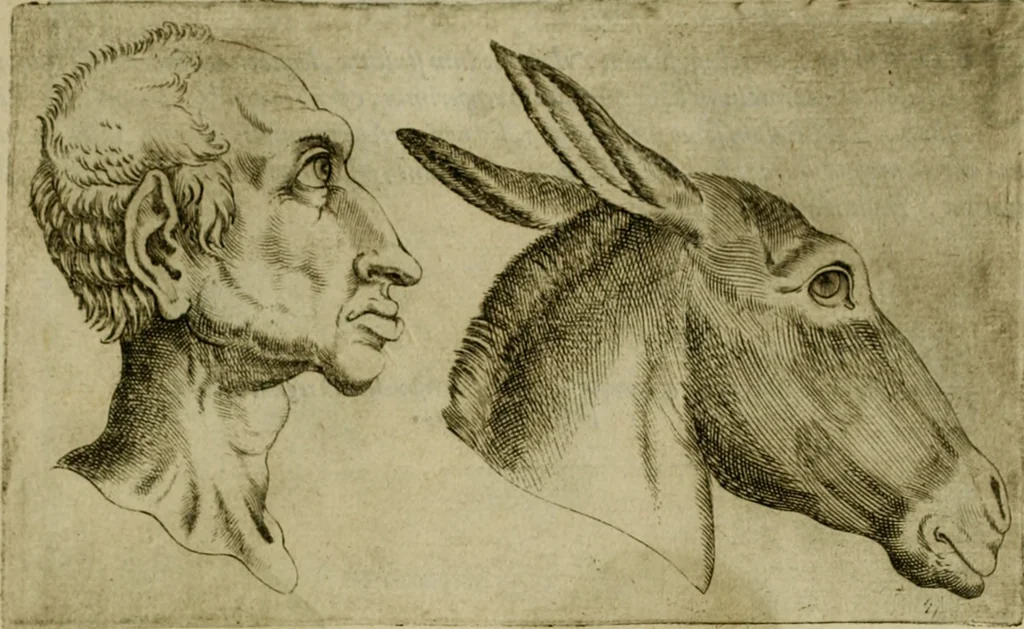 An illustration from Io. Baptistae Portae neapolitani De hvmana physiognomonia libri IIII, 1586, leaf 74