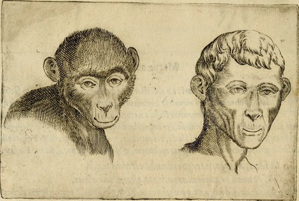 An illustration from Io. Baptistae Portae neapolitani De hvmana physiognomonia libri IIII, 1586, leaf 75