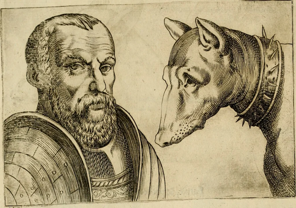 An illustration from Io. Baptistae Portae neapolitani De hvmana physiognomonia libri IIII, 1586, leaf 77